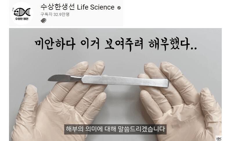 과학 유튜버 추천 (BEST14)-2022 이미지 6