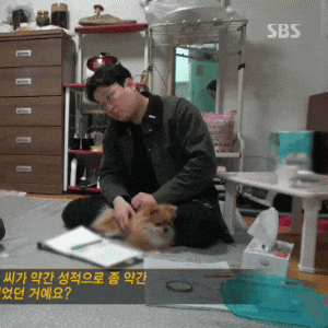 그알PD 드루이드 설*(동물과 친화력 짤 모음) 이미지 6