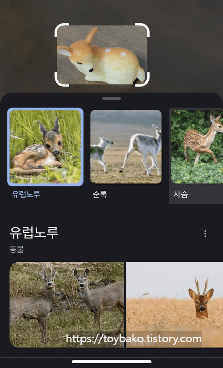 아이폰에서 구글렌즈 사용하기 *(사용방법, 새로운 기능) 이미지 4