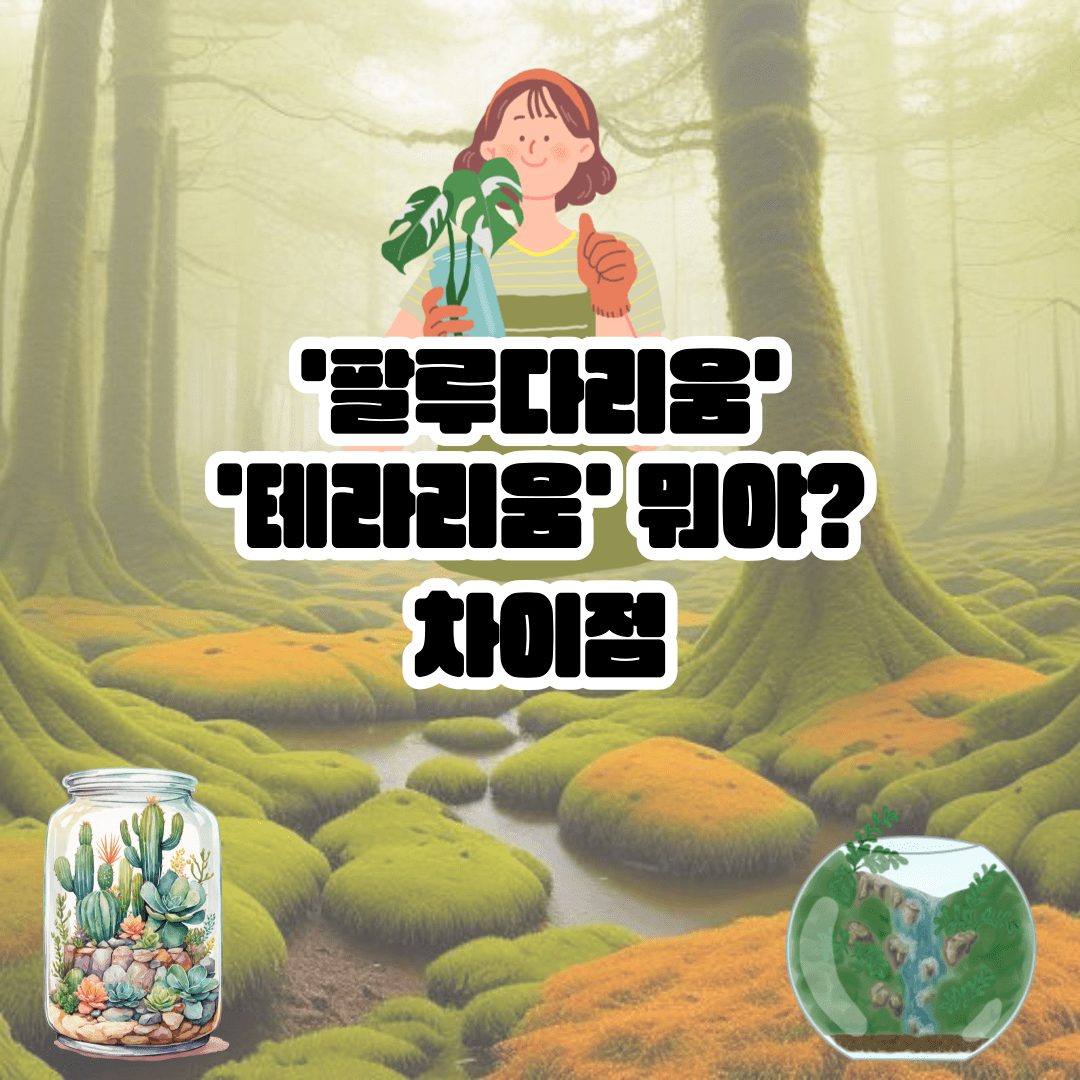 [팔루다리움 테라리움 차이점] 뜻과 특징 완벽 정리 (어항 꾸미기 기초) 썸네일